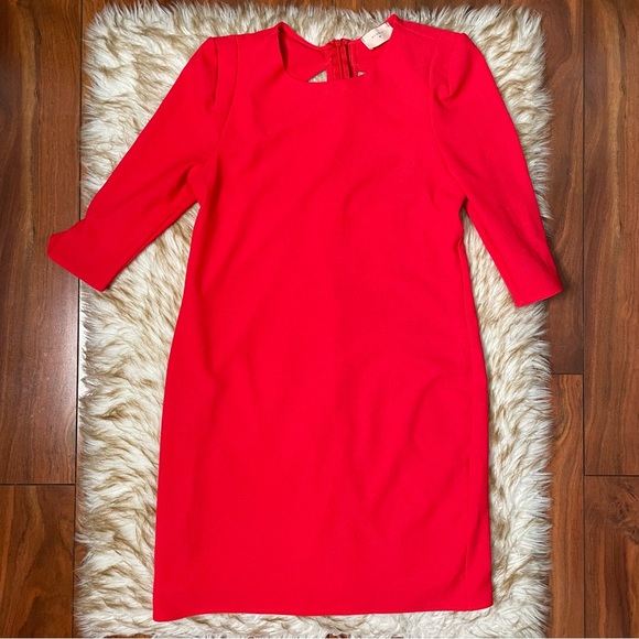 Everly sheath dress with back cutouts - Picture 3 of 5